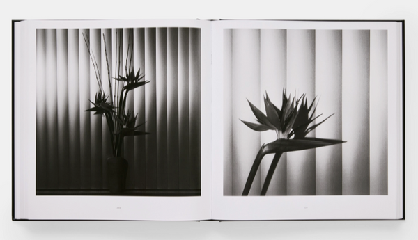 Mapplethorpe Flora: The Complete Flowers