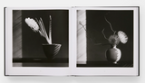 Mapplethorpe Flora: The Complete Flowers