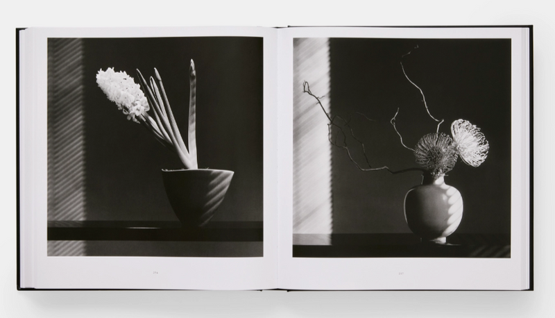 Mapplethorpe Flora: The Complete Flowers