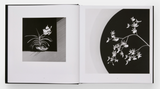 Mapplethorpe Flora: The Complete Flowers