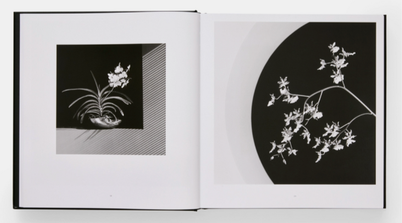 Mapplethorpe Flora: The Complete Flowers