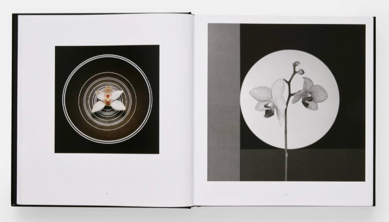 Mapplethorpe Flora: The Complete Flowers