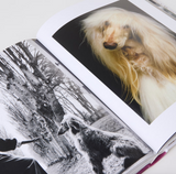 CHIC DOGS