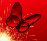 LUCKY BUTTERFLY  - RED