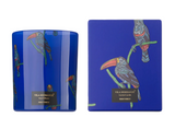 Jungletropia Tucano Candle In A Jar