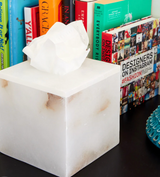 Alabaster Tissue Holder