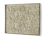 Avante Garden Shadow Box