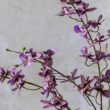 ARTIFICIAL ONSIDIUM ORCHID