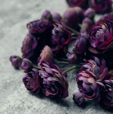 ARTIFICIAL RANUNCULUS BUNCH PURPLE