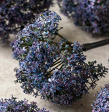 ARTIFICIAL TRACHELIUM MAUVE