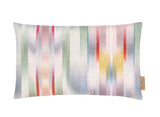 Motion Collection Shams