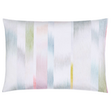 Motion Collection Shams