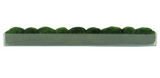 Elongated Moss