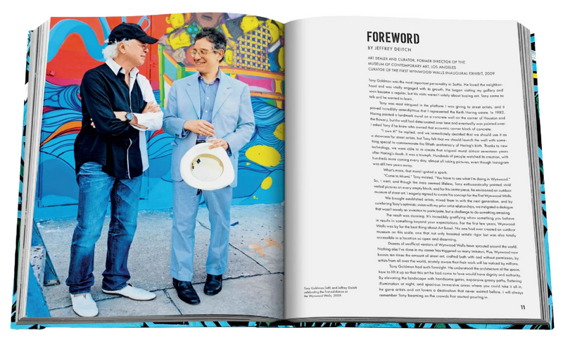 STREET ART ICONS: THE STORY OF WYNWOOD WALLS