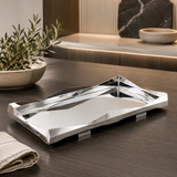 Stainless Steel Tray w/ Mirror Glass