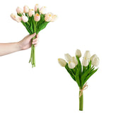 Tulip 9-Stem Bundle