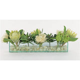 White Pin Protea Mix-Lg