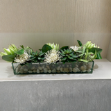 White Pin Protea Mix-Lg