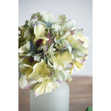Almost Real  Hydrangea