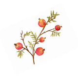 Rimon Branch Printed Pomegranate