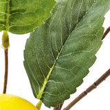 Faux Lemon Branch