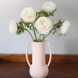 Cream Silk Ranunculus