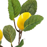 Faux Lemon Branch