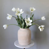 Cream Tulip Stem