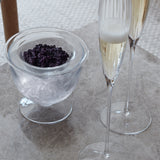 Serve Caviar Set