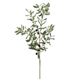 Large Olive Branch