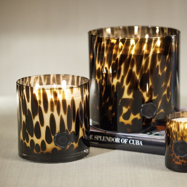 AG Hinoki Cypress Three Wick Candle Jar