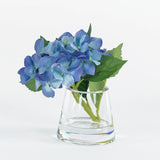Hydrangea in Pyramid