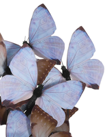 Rue de Bac Lilac Medium Butterflies