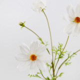 Real Touch White Cosmos