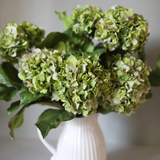 Green Double Hydrangea
