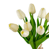 Tulip 9-Stem Bundle
