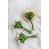 Tulip 9-Stem Bundle