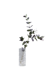 Eucalyptus Stem - Green