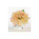 Dahlia in Water