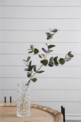 Eucalyptus Stem - Green