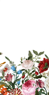 Rose Enchantment Collection