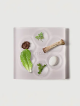 PASSOVER PLATE