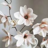 Blush Magnolia Blossom Branch