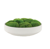 Moss in Large Bowl