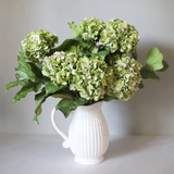 Green Double Hydrangea