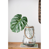 Monstera Leaf