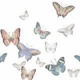 Butterflies - Printed Guest Towel