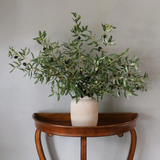 Large Olive Branch