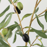 Large Olive Branch