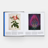 Plant Exploring the Botanical World